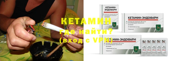 индика Аркадак