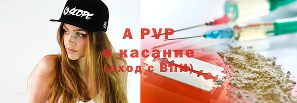 индика Аркадак