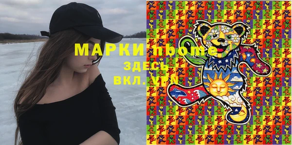 индика Аркадак
