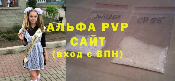 индика Аркадак