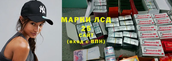 индика Аркадак