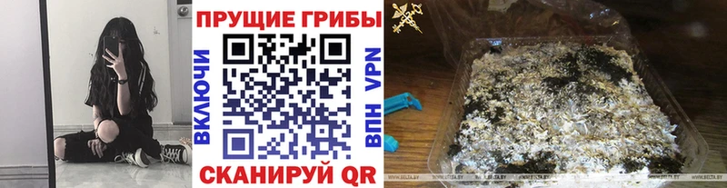 магазин    Кемь  Псилоцибиновые грибы ЛСД 